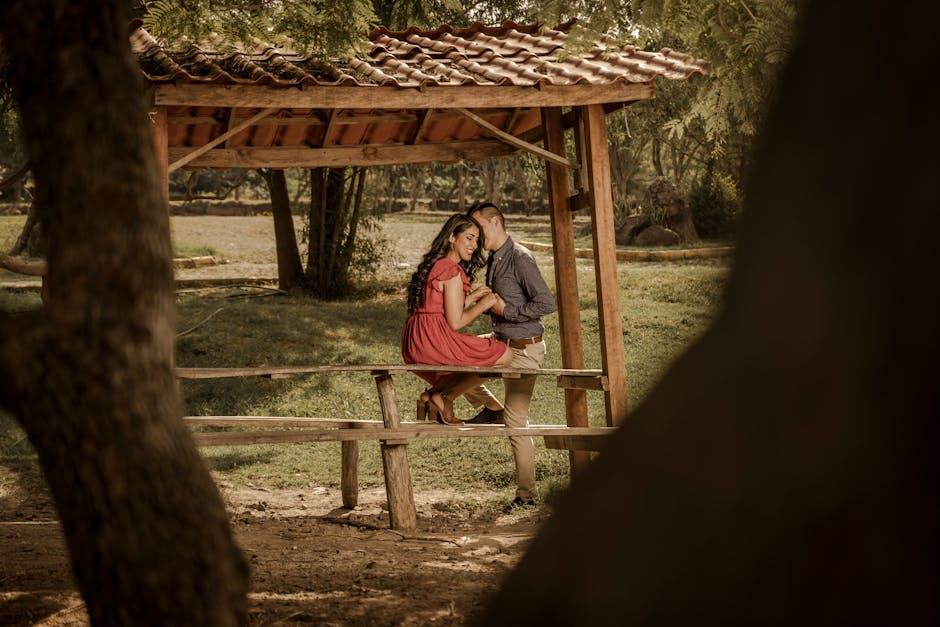 Fenêtre bois maison : guide d'achat et d'entretien