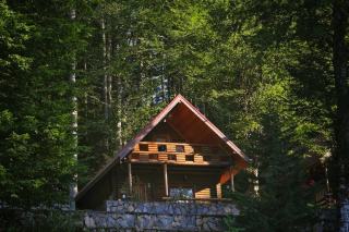 Construire et vivre dans une maison en bois : le guide complet Construire et vivre dans une maison en bois : le guide complet