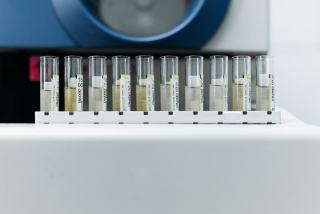 Conductivité thermique du bois : propriétés et avantages