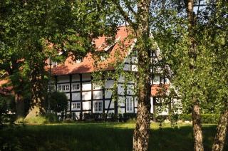 Extension maison bois : agrandissement ossature bois et coûts