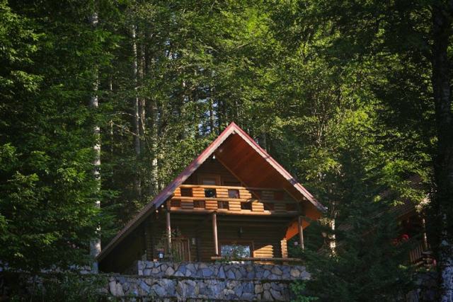 Construire et vivre dans une maison en bois : le guide complet Construire et vivre dans une maison en bois : le guide complet